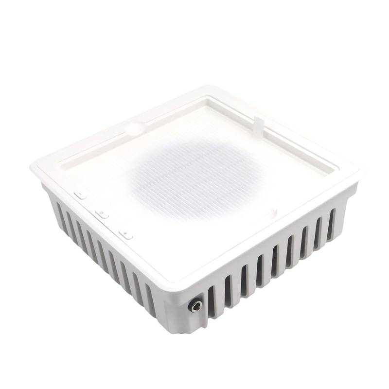 Professionell nageldammsugare